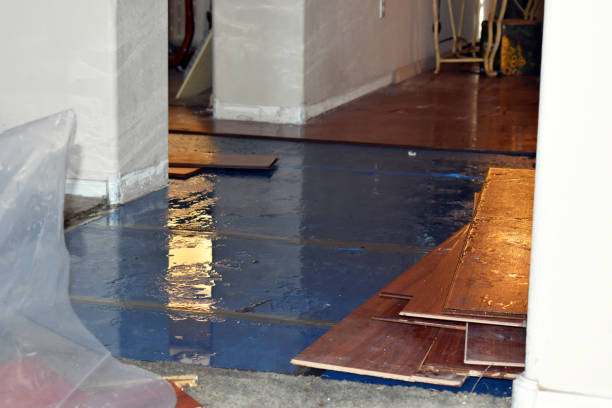 Professional Water Extraction technician working in Marine, IL